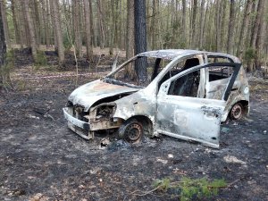 Zdjęcie przedstawia  spalony samochód stojący w lesie