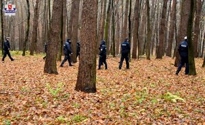 Policjanci w czasie sprawdzenia lasu