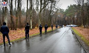 Policjanci ustawieni do przeszukania lasu